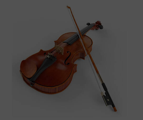 Strings Instrument